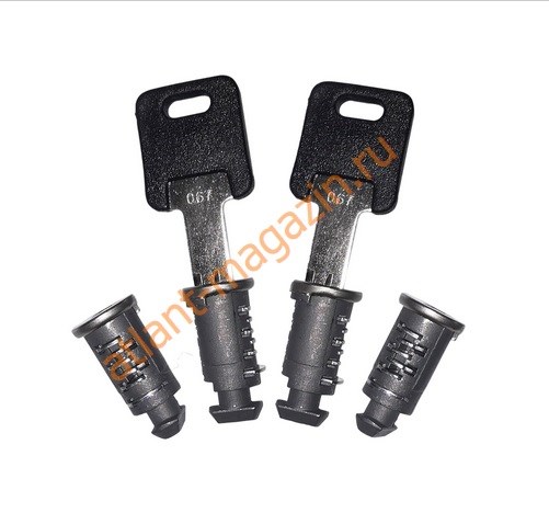 Комплект замков (4 шт.) с ключами (2 шт.) арт.20480 (для замены 8967) 794