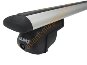 {{photo.Alt || photo.Description || 'Багажник для Nissan Juke (на рейлинги), крыловидная дуга, арт.8810+8823'}}